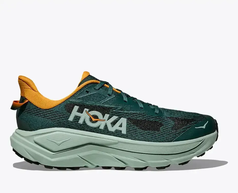 HOKA Challenger 8 Lorbeerblatt Salbei Media front view